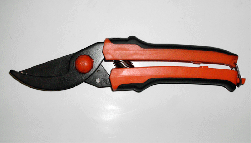 Secateurs 220mm with oxidized coating ?-41-21